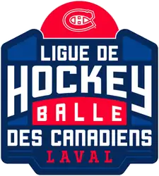 Ligue de hockey-balle des Canadiens